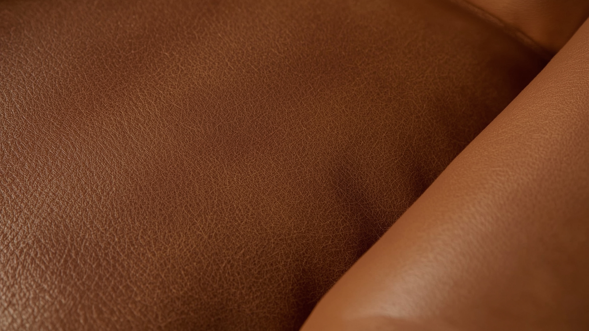 Close-up macro of full-grain leather sofa surface showing natural pores and patina