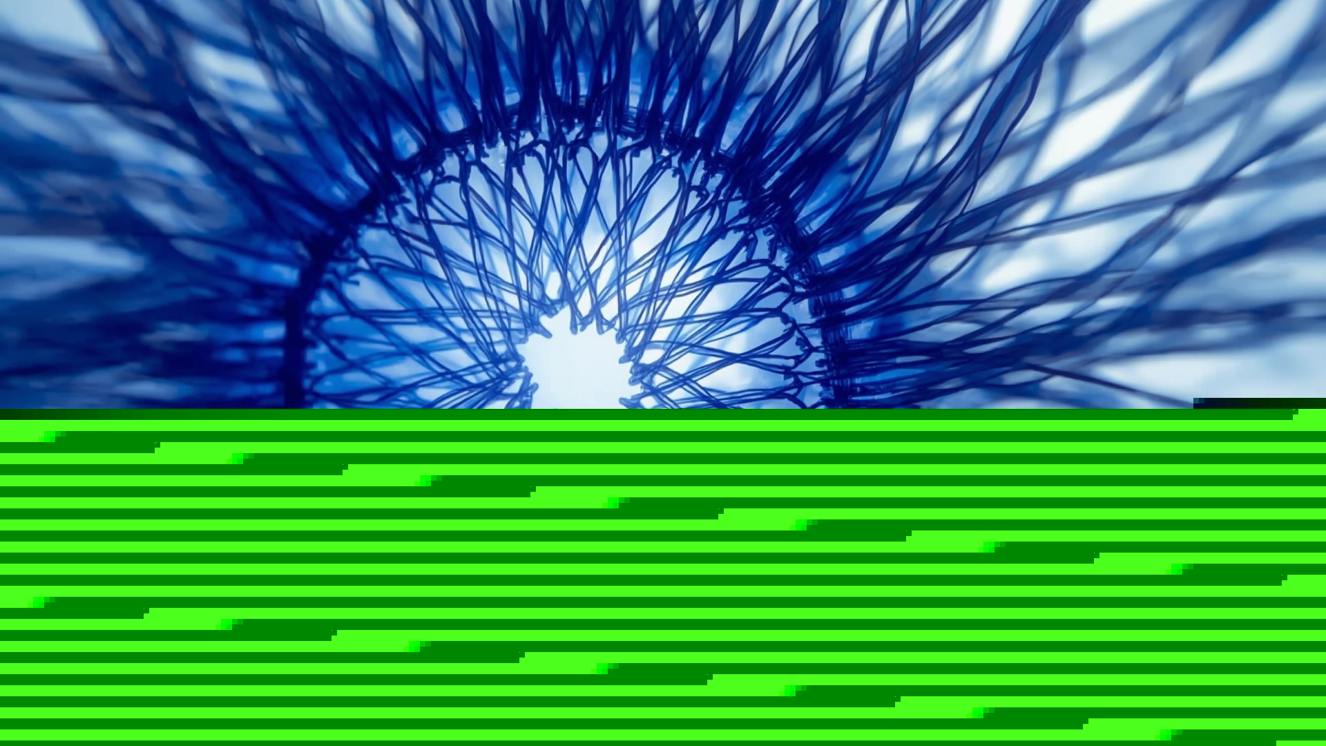 Cross-section macro view of solution dyed fiber showing color throughout interior